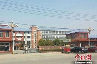 徐州沛县最新爆料新闻,最新爆料揭示惊人真相  第3张