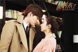 杉杉来了电视剧在线观看,甜蜜爱情与职场奋斗的温馨画卷  第1张